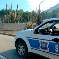 Prevención, Detección y Notificación de Deterioros o Pérdidas de Bienes